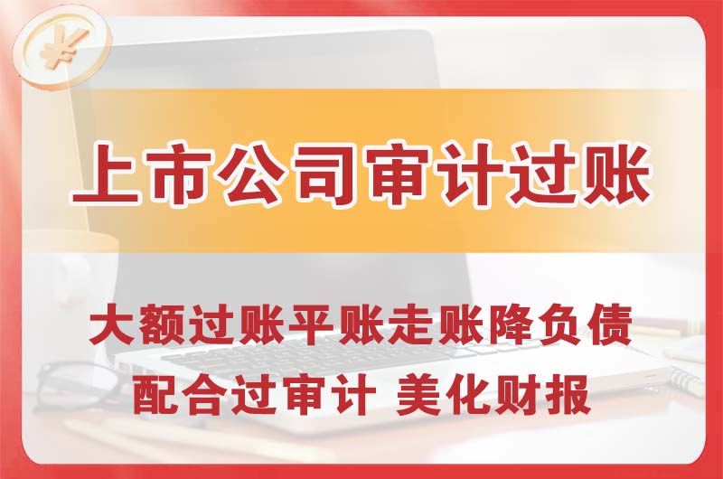 枝江上市公司审计过账